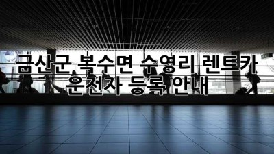 금산군 복수면 수영리 렌트카 운전자 등록 안내