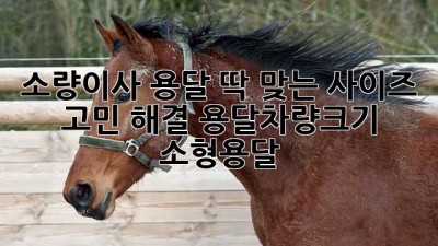 소량이사 용달🚚 딱 맞는 사이즈? 고민 해결! #용달차량크기 #소형용달