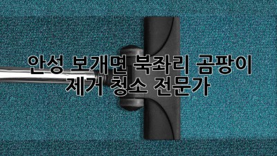 안성 보개면 북좌리 곰팡이 제거 청소 전문가